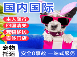 敦煌莫高航空快递国际宠物托运 【国